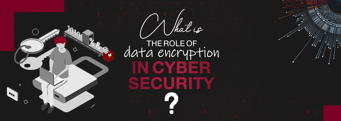 What is the role of data encryption in cyber security?