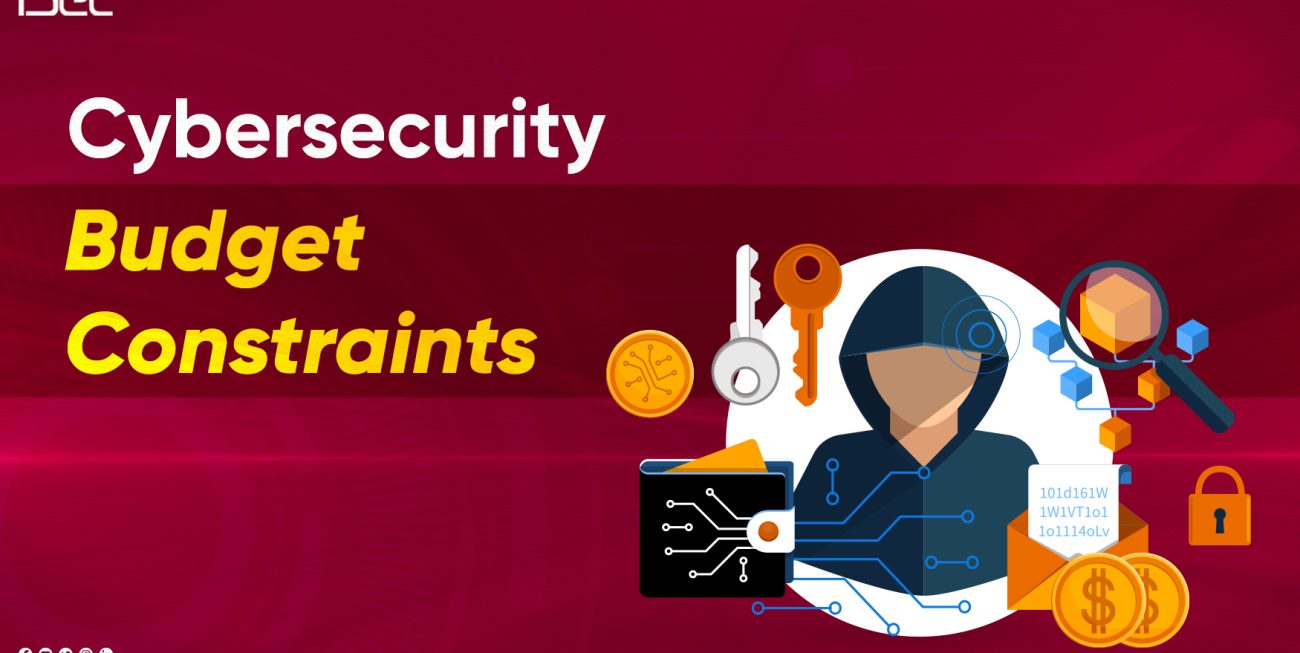 Overcoming Cybersecurity Budget Constraints: Building Resilient Defenses on a Tight Budget